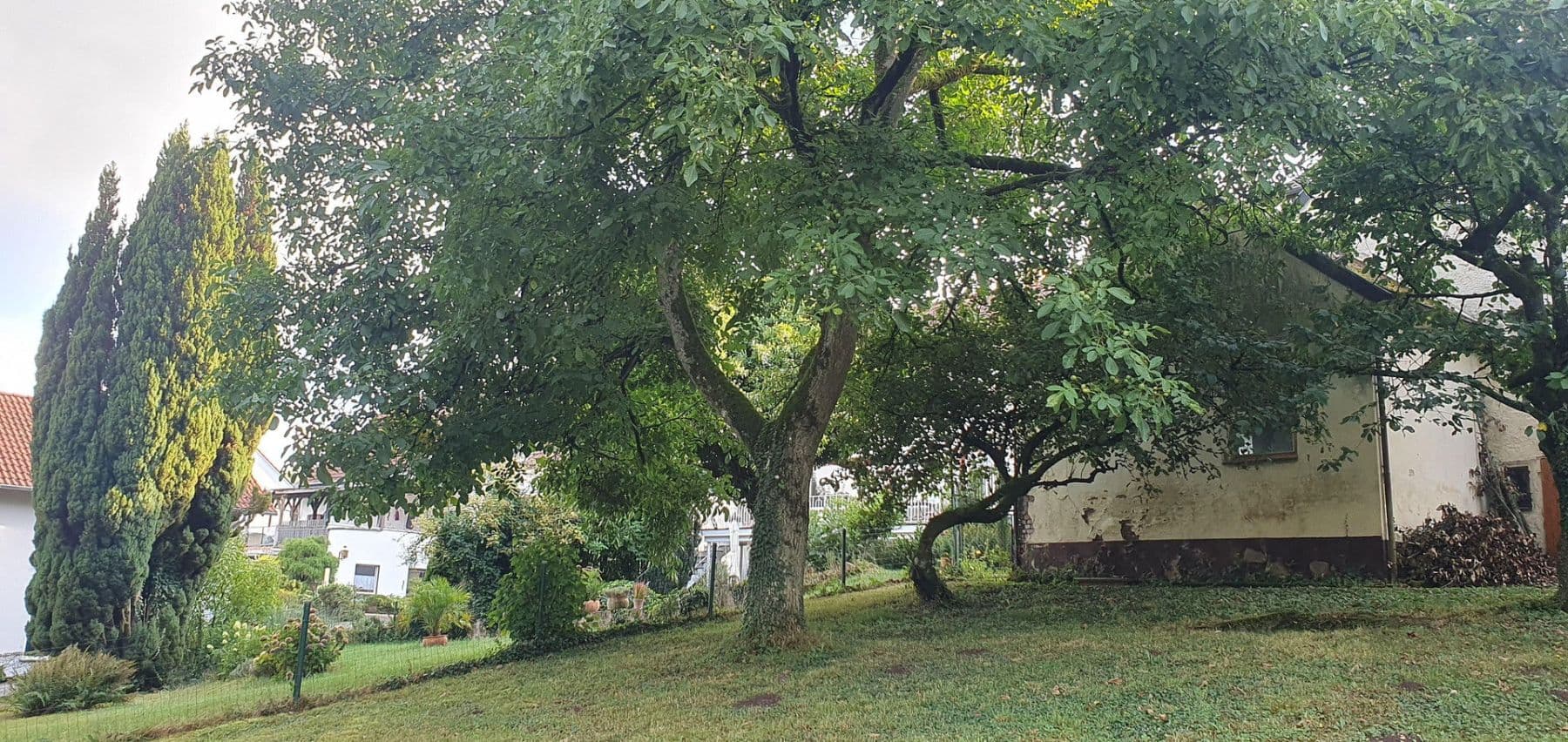 house for sale, 270 m², Dunzweiler, Rhineland-Palatinate house for sale, 270 m², Dunzweiler, Rhineland-Palatinate