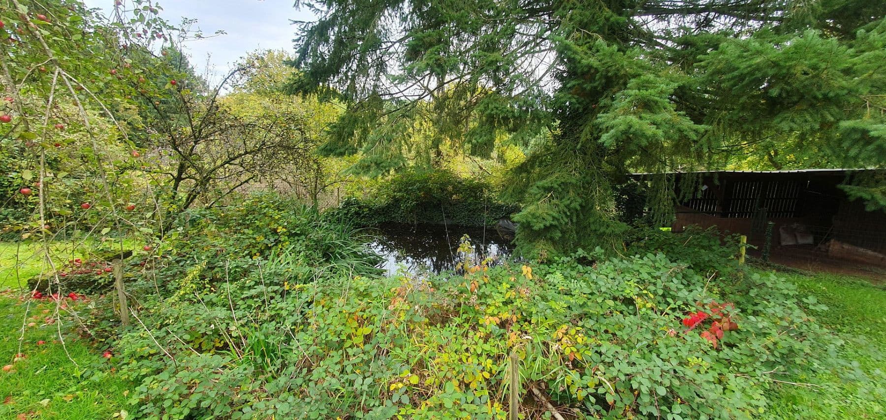 house for sale, 270 m², Dunzweiler, Rhineland-Palatinate house for sale, 270 m², Dunzweiler, Rhineland-Palatinate