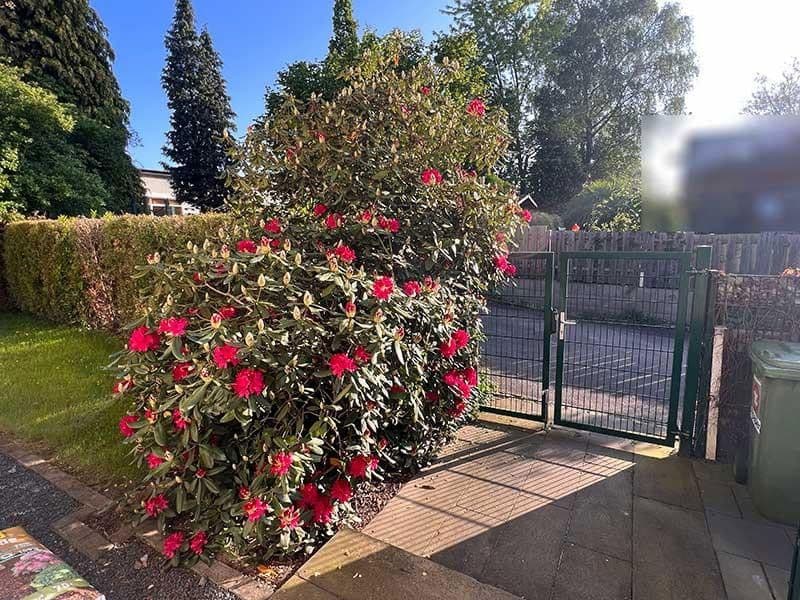 house for sale, 190 m², Overath, North Rhine-Westphalia house for sale, 190 m², Overath, North Rhine-Westphalia