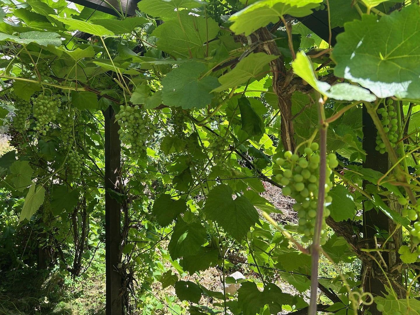 house for sale, 134 m², Zwönitz, Saxony house for sale, 134 m², Zwönitz, Saxony