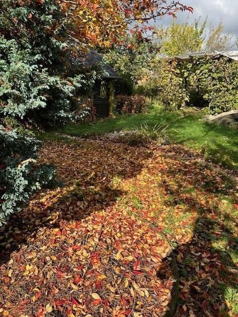 house for sale, 134 m², Zwönitz, Saxony house for sale, 134 m², Zwönitz, Saxony