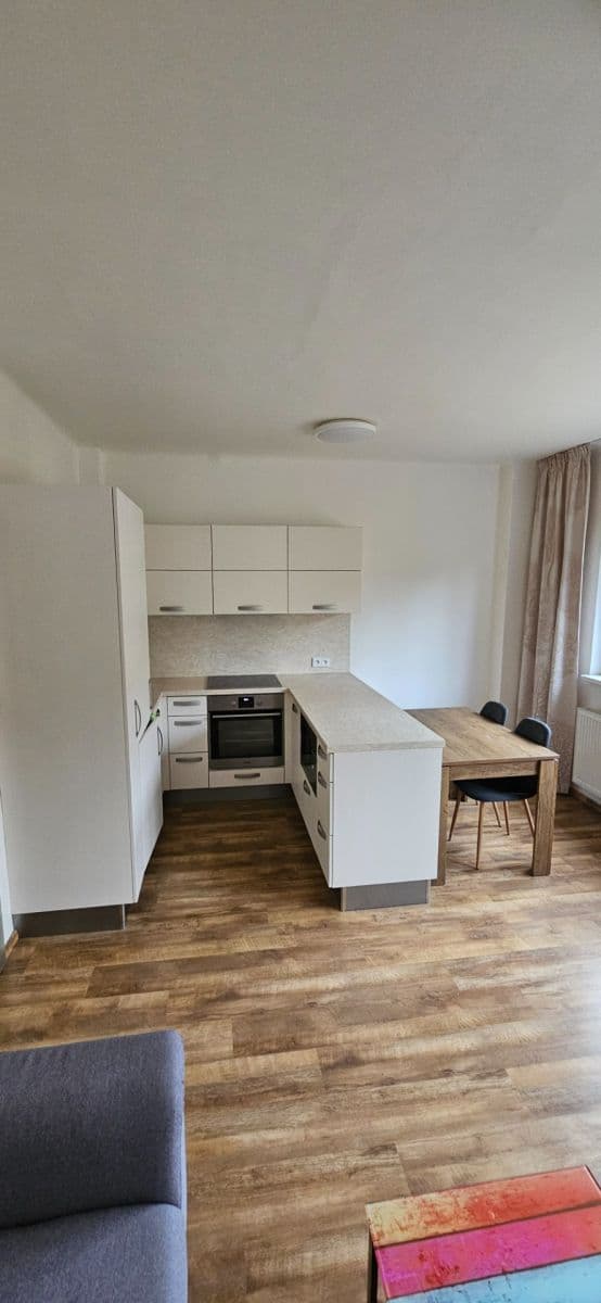 1 bedroom with open-plan kitchen flat to rent, 45 m², Humpolecká, Prague, Prague 1 bedroom with open-plan kitchen flat to rent, 45 m², Humpolecká, Prague, Prague