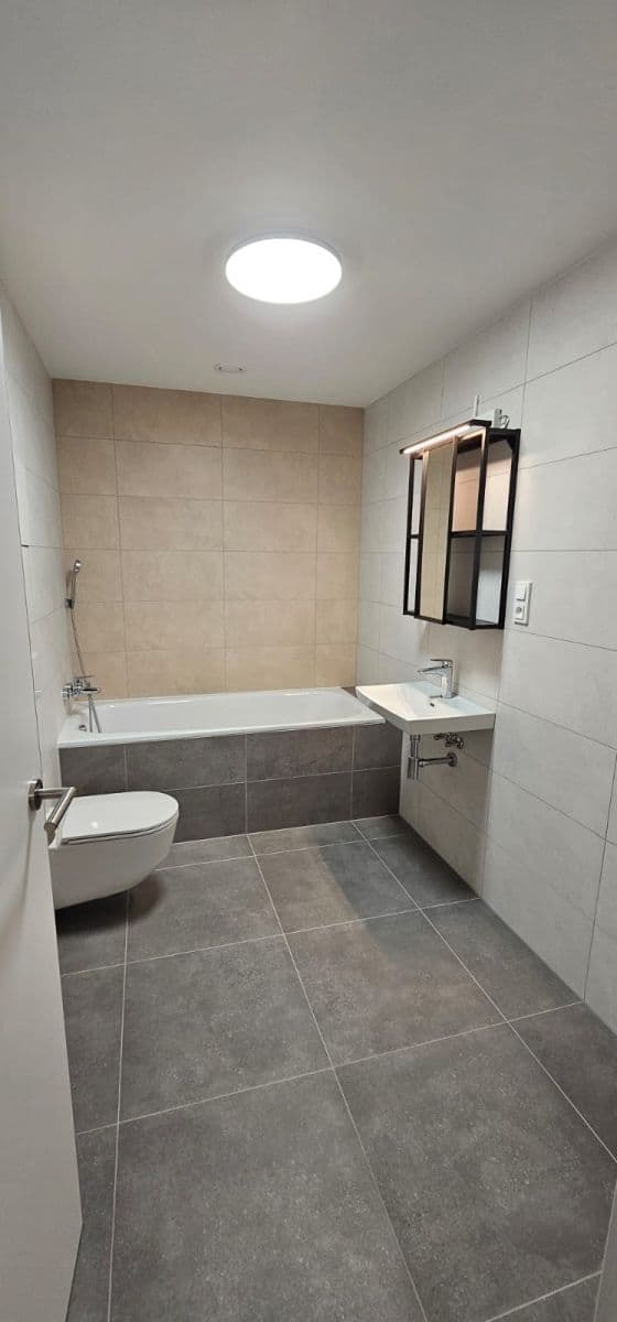 1 bedroom with open-plan kitchen flat to rent, 72 m², Sokolova, Prague, Prague 1 bedroom with open-plan kitchen flat to rent, 72 m², Sokolova, Prague, Prague