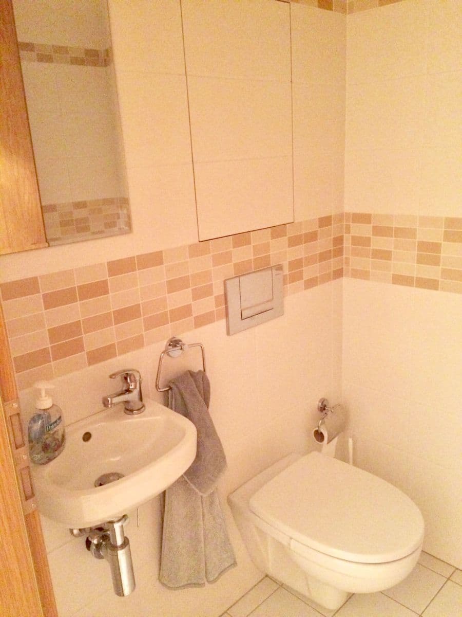 1 bedroom with open-plan kitchen flat to rent, 57 m², Generála Šišky, Prague, Prague 1 bedroom with open-plan kitchen flat to rent, 57 m², Generála Šišky, Prague, Prague