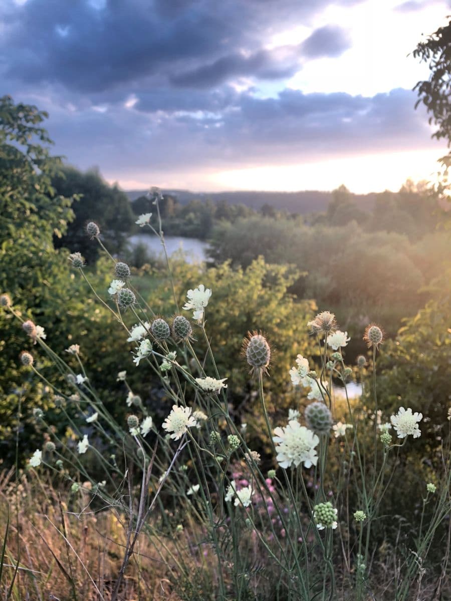 1 bedroom with open-plan kitchen flat to rent, 57 m², Generála Šišky, Prague, Prague 1 bedroom with open-plan kitchen flat to rent, 57 m², Generála Šišky, Prague, Prague