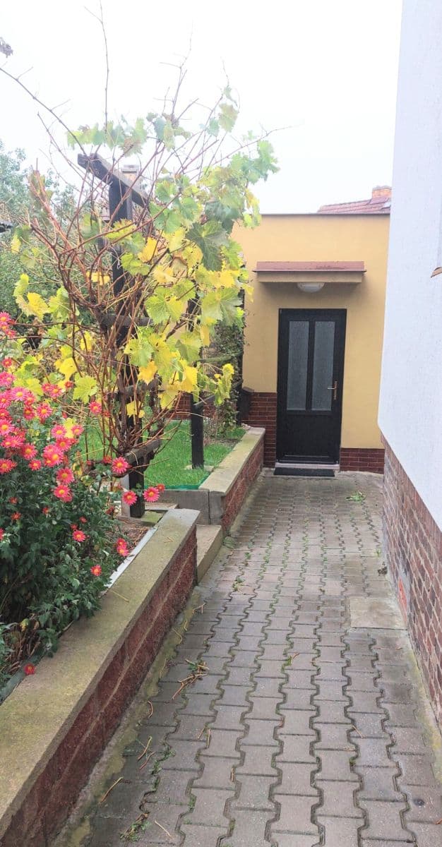 1 bedroom with open-plan kitchen flat to rent, 45 m², Pod Starou školou, Prague, Prague 1 bedroom with open-plan kitchen flat to rent, 45 m², Pod Starou školou, Prague, Prague