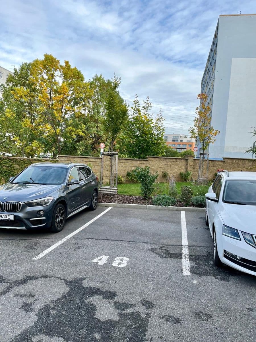 1 bedroom with open-plan kitchen flat to rent, 46 m², Čenětická, Prague, Prague 1 bedroom with open-plan kitchen flat to rent, 46 m², Čenětická, Prague, Prague