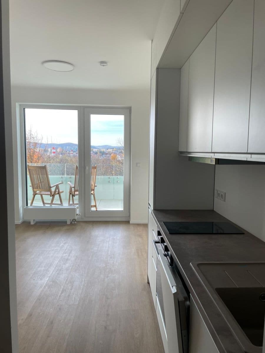 Studio flat to rent, 38 m², třída Generála Píky, Brno, Jihomoravský Region Studio flat to rent, 38 m², třída Generála Píky, Brno, Jihomoravský Region