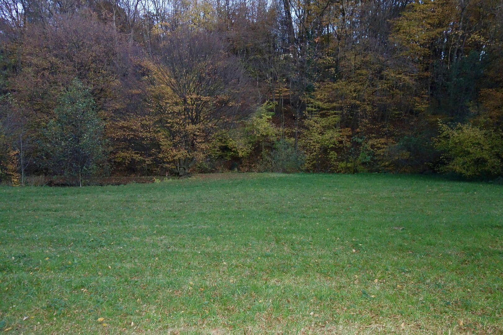 plot for sale, 2,003 m², Kaltwasserstrasse 1, St. Andrä Wördern, Lower Austria plot for sale, 2,003 m², Kaltwasserstrasse 1, St. Andrä Wördern, Lower Austria