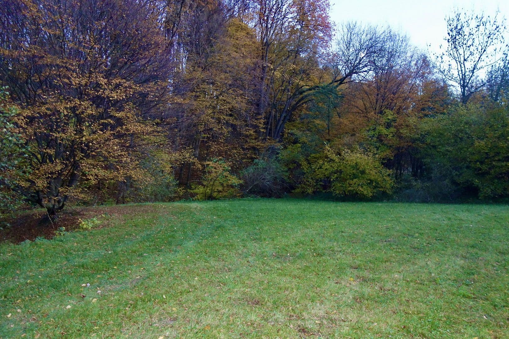 plot for sale, 2,592 m², Kaltwasserstrasse 1, St. Andrä Wördern, Lower Austria plot for sale, 2,592 m², Kaltwasserstrasse 1, St. Andrä Wördern, Lower Austria