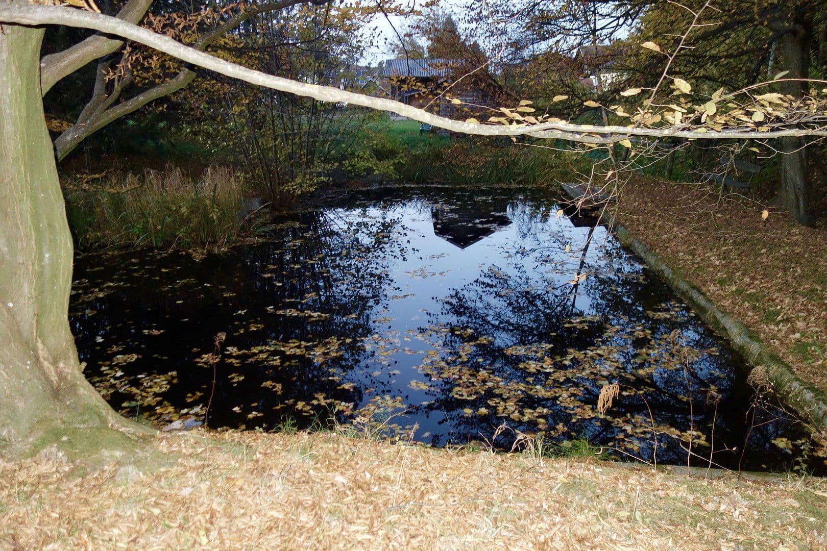 plot for sale, 2,592 m², Kaltwasserstrasse 1, St. Andrä Wördern, Lower Austria plot for sale, 2,592 m², Kaltwasserstrasse 1, St. Andrä Wördern, Lower Austria