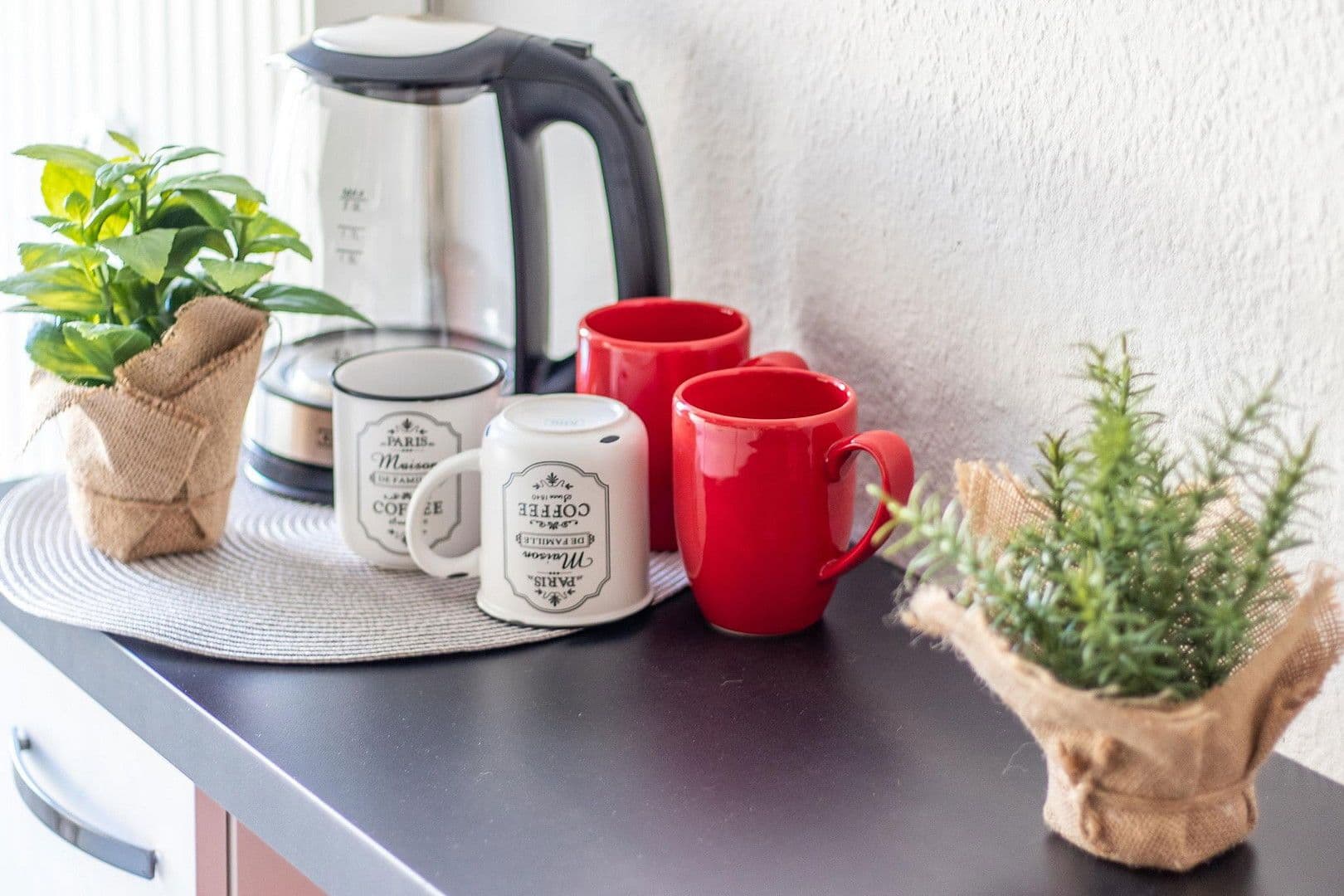 2 bedroom flat to rent, 50 m², Lassallestraße 8, Zwickau, Saxony 2 bedroom flat to rent, 50 m², Lassallestraße 8, Zwickau, Saxony