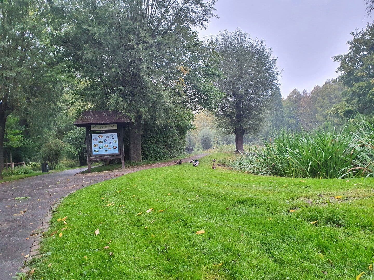 3 bedroom flat for sale, 79 m², Vellmar, Hesse 3 bedroom flat for sale, 79 m², Vellmar, Hesse