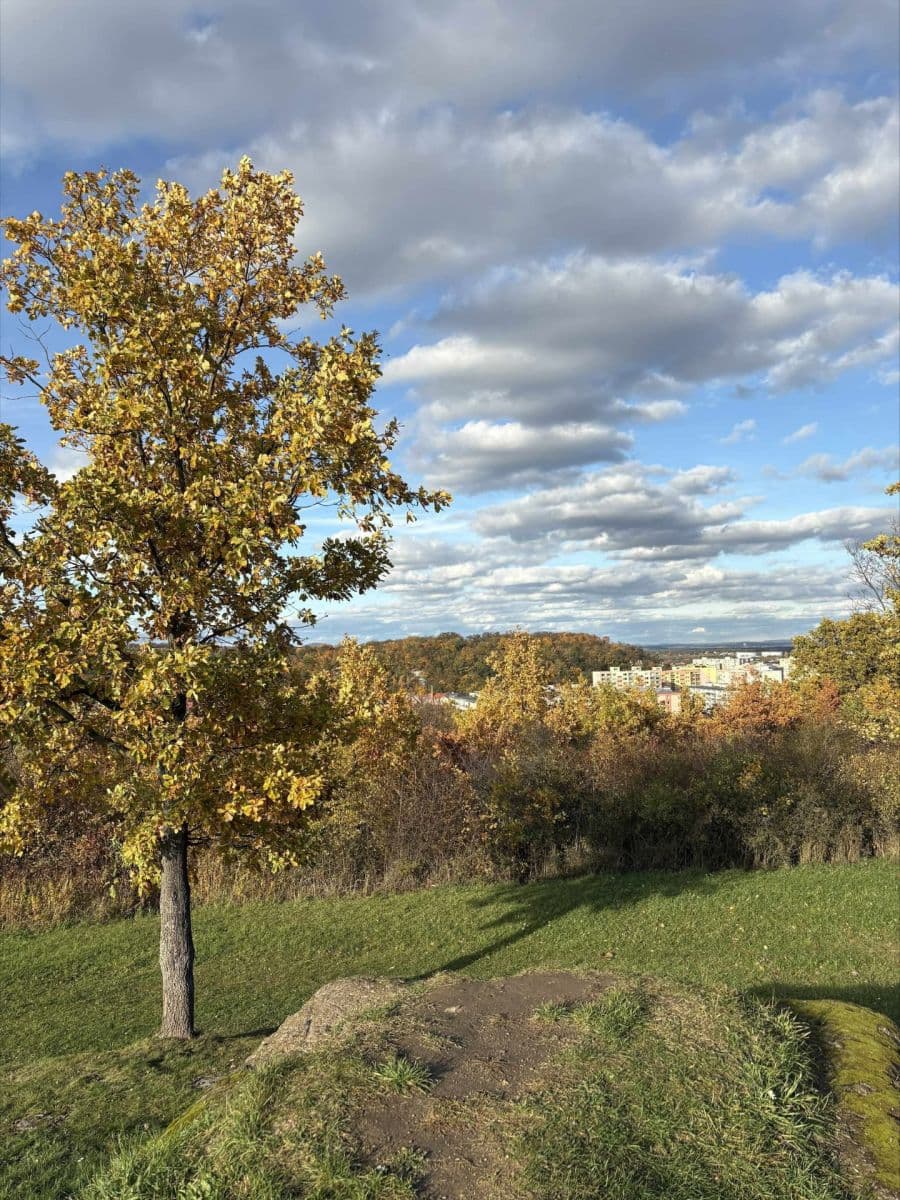 2 bedroom with open-plan kitchen flat for sale, 95 m², Souběžná, Kralupy nad Vltavou, Středočeský Region 2 bedroom with open-plan kitchen flat for sale, 95 m², Souběžná, Kralupy nad Vltavou, Středočeský Region