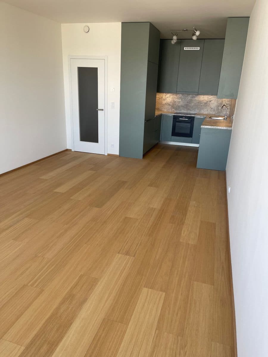 2 bedroom with open-plan kitchen flat for sale, 80 m², V Třešňovce, Prague, Prague 2 bedroom with open-plan kitchen flat for sale, 80 m², V Třešňovce, Prague, Prague