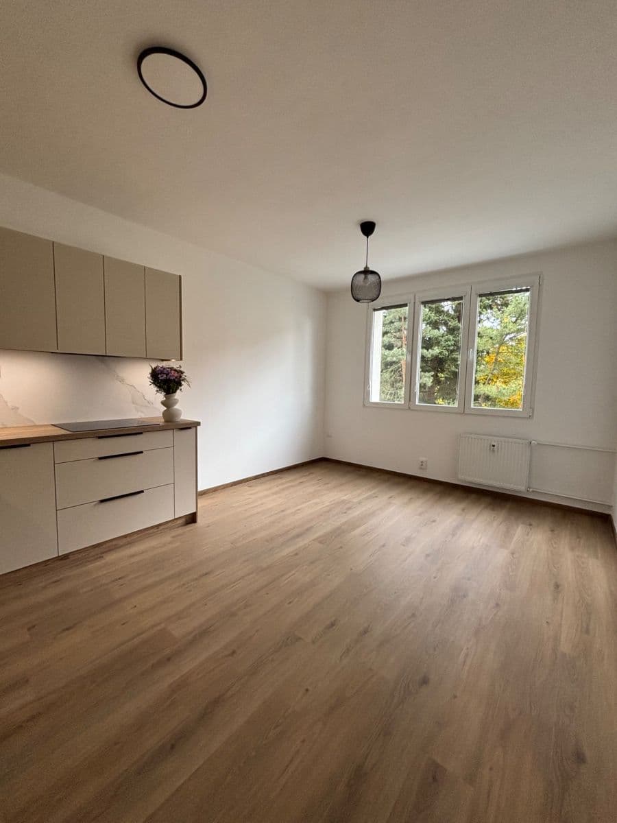 2 bedroom with open-plan kitchen flat to rent, 50 m², Nad Dalmatinkou, Plzeň, Plzeňský Region 2 bedroom with open-plan kitchen flat to rent, 50 m², Nad Dalmatinkou, Plzeň, Plzeňský Region