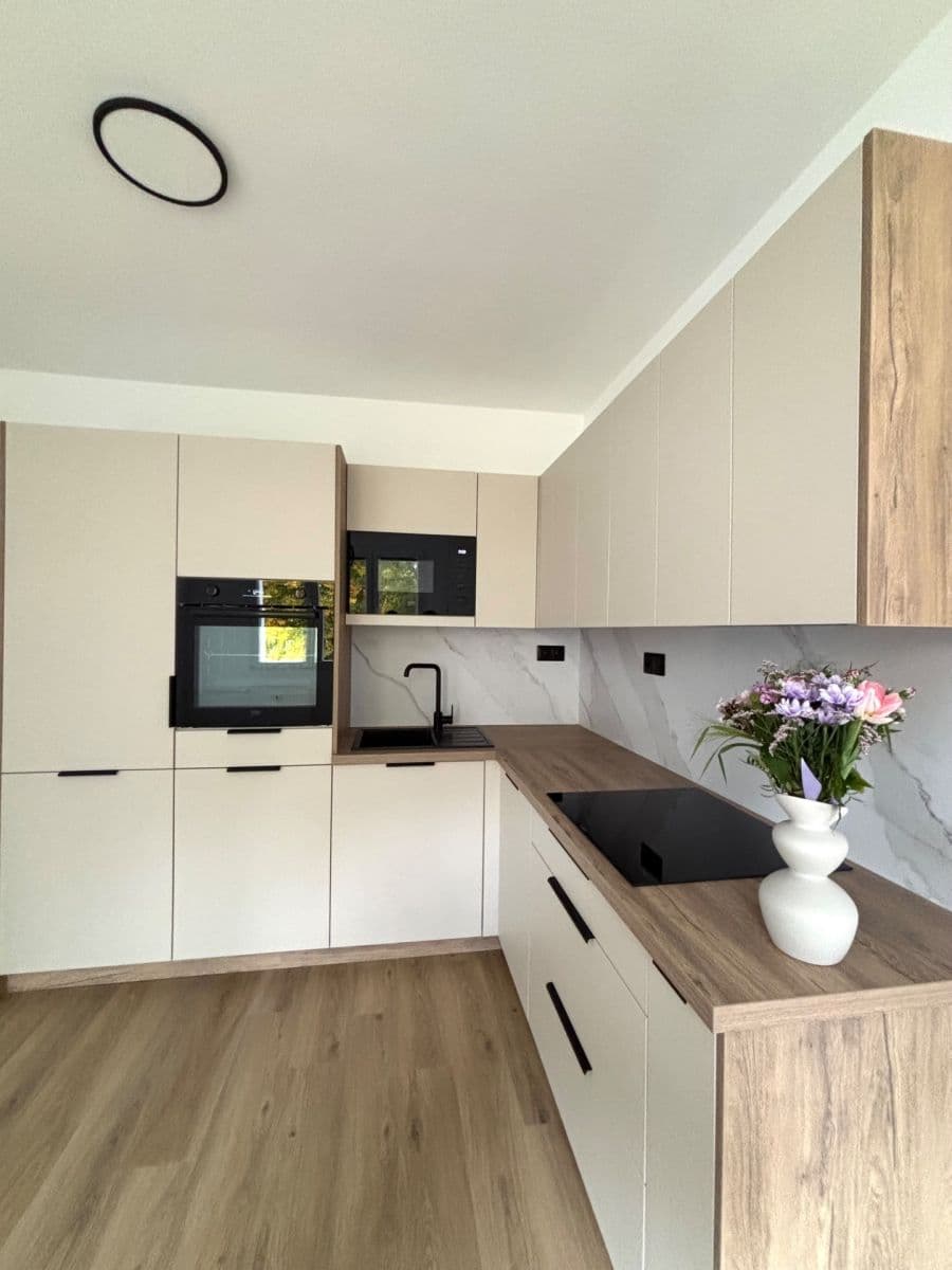 2 bedroom with open-plan kitchen flat to rent, 50 m², Nad Dalmatinkou, Plzeň, Plzeňský Region 2 bedroom with open-plan kitchen flat to rent, 50 m², Nad Dalmatinkou, Plzeň, Plzeňský Region