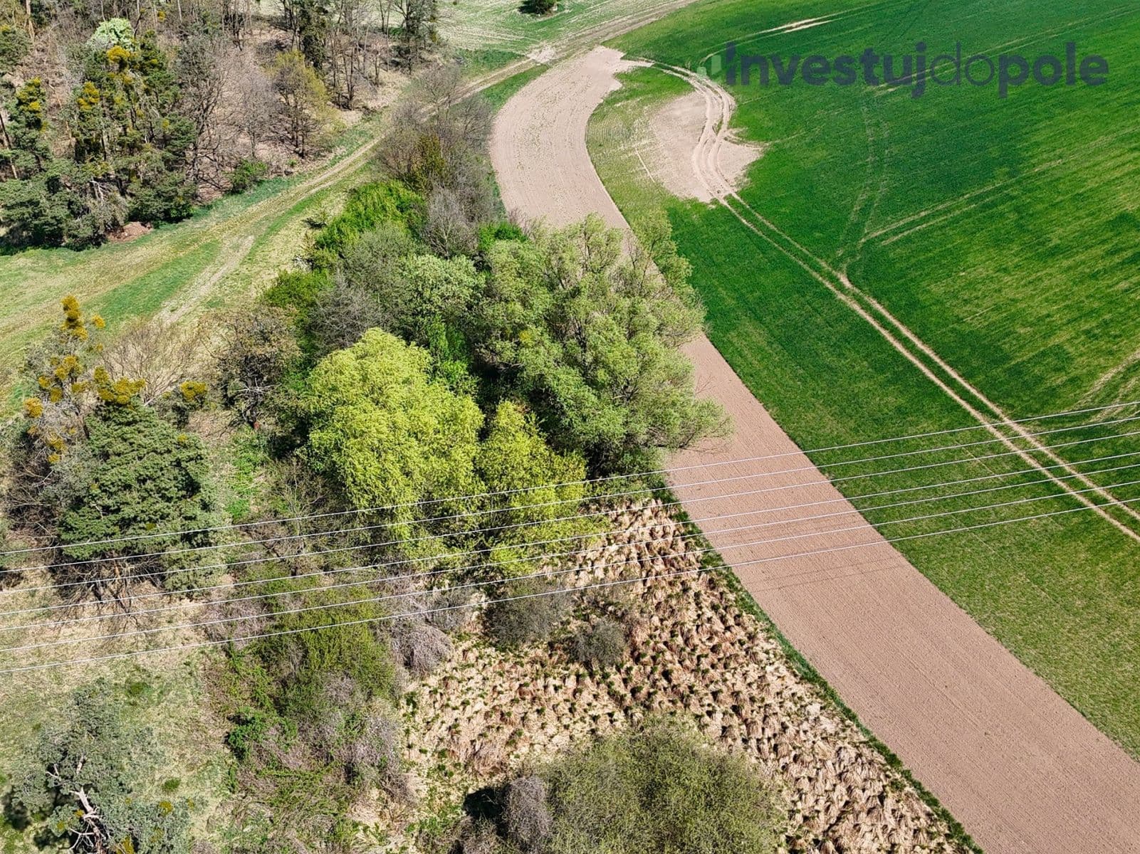 plot for sale, 7,161 m², Přelouč, Pardubický Region plot for sale, 7,161 m², Přelouč, Pardubický Region