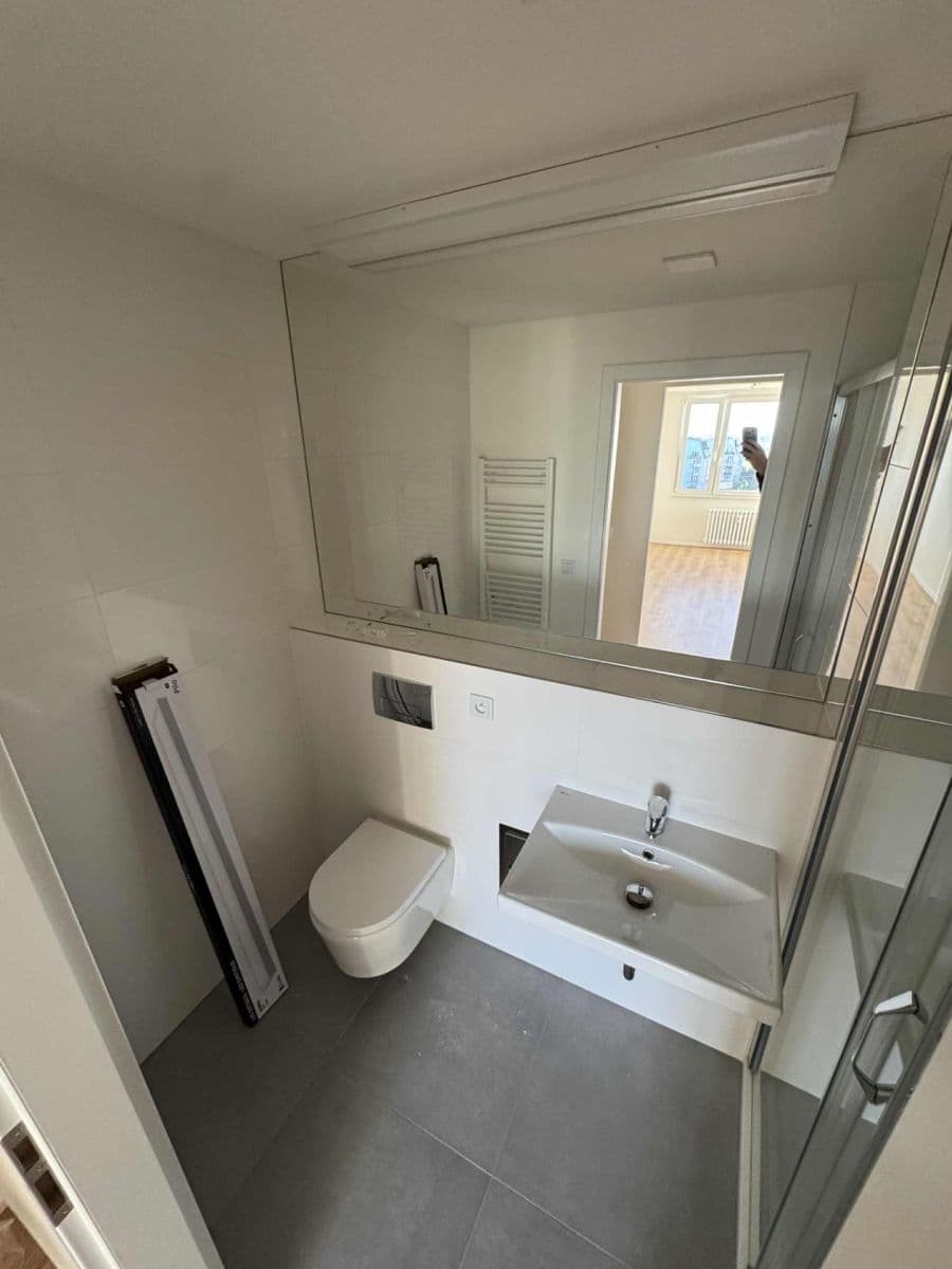 1 bedroom with open-plan kitchen flat to rent, 46 m², Čenětická, Prague, Prague 1 bedroom with open-plan kitchen flat to rent, 46 m², Čenětická, Prague, Prague