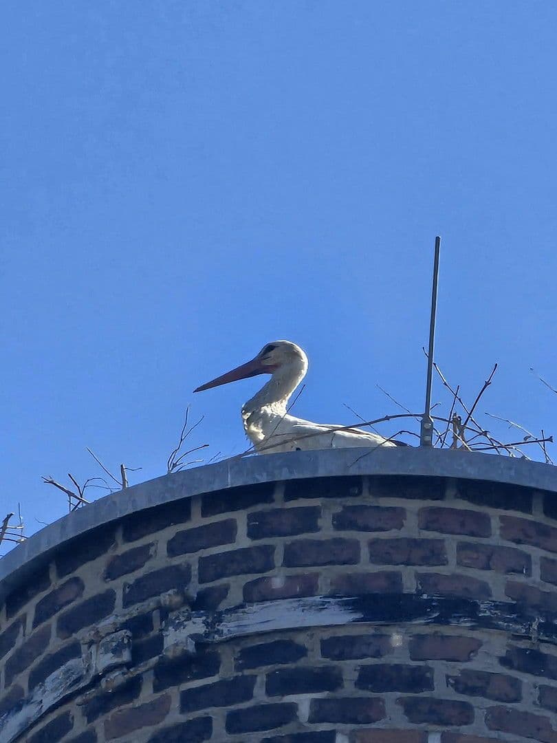 4 bedroom flat to rent, 135 m², Kitscherstr, 10, Crimmitschau, Saxony 4 bedroom flat to rent, 135 m², Kitscherstr, 10, Crimmitschau, Saxony