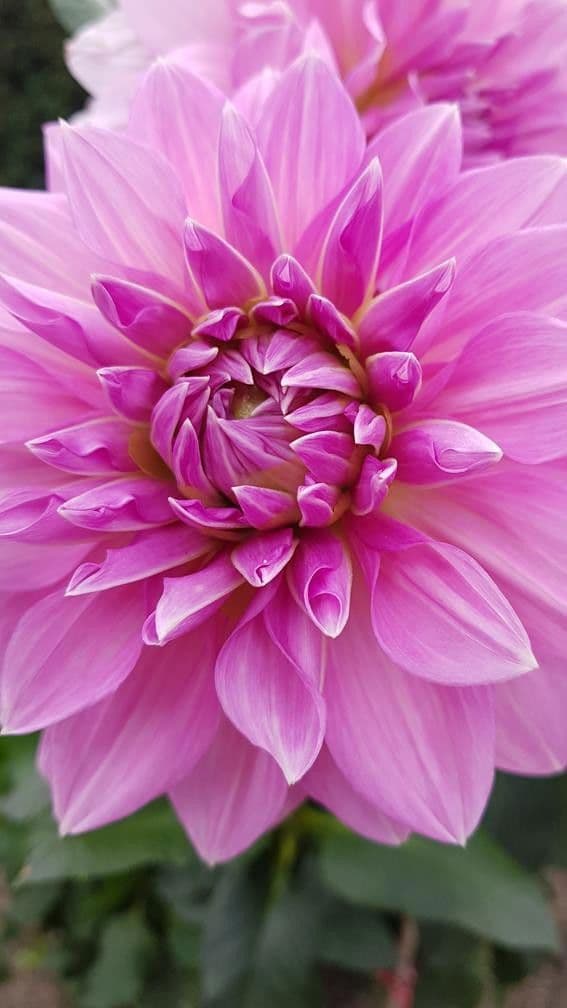 house for sale, 173 m², Cottbuser Str. 2h, Heidesee, Brandenburg house for sale, 173 m², Cottbuser Str. 2h, Heidesee, Brandenburg