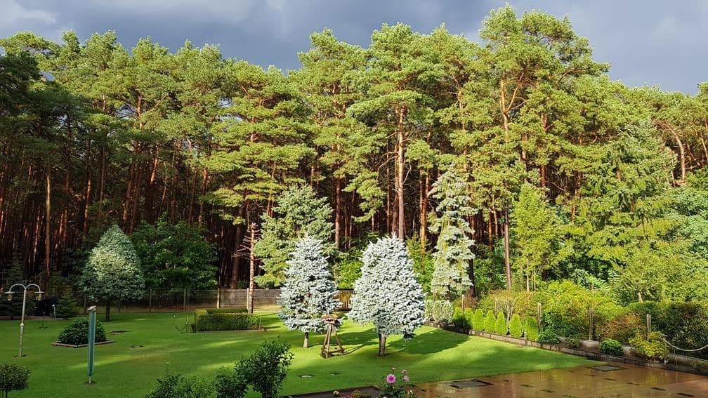 house for sale, 173 m², Cottbuser Str. 2h, Heidesee, Brandenburg house for sale, 173 m², Cottbuser Str. 2h, Heidesee, Brandenburg