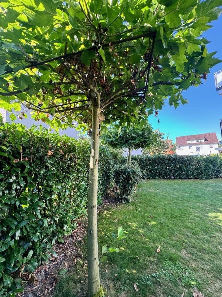 4 bedroom with open-plan kitchen flat for sale, 146 m², Kirchheim unter Teck, Baden-Württemberg 4 bedroom with open-plan kitchen flat for sale, 146 m², Kirchheim unter Teck, Baden-Württemberg