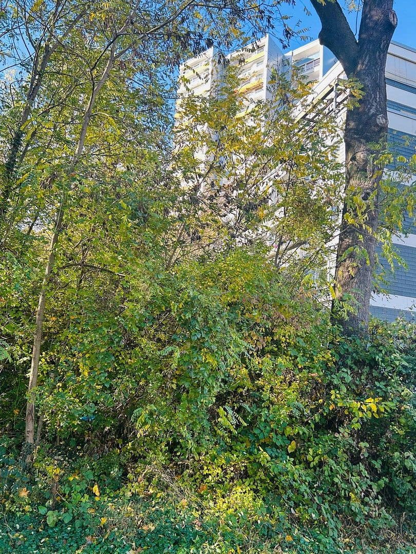 3 bedroom flat for sale, 88 m², Frölingstr. 7, Bad Homburg vor der Höhe, Hesse 3 bedroom flat for sale, 88 m², Frölingstr. 7, Bad Homburg vor der Höhe, Hesse