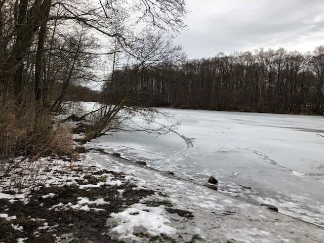 house for sale, 147 m², Wiesengrund 24, Lübeck, Schleswig-Holstein house for sale, 147 m², Wiesengrund 24, Lübeck, Schleswig-Holstein