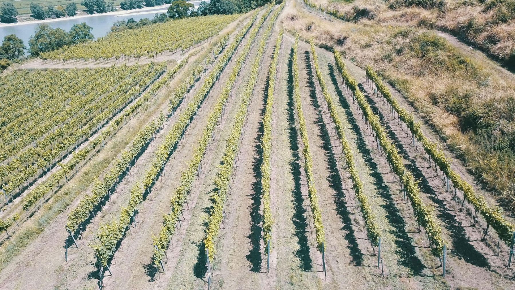 plot for sale, 3,596 m², Mitterarnsdorf, Lower Austria plot for sale, 3,596 m², Mitterarnsdorf, Lower Austria