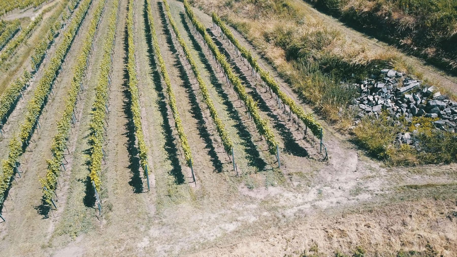 plot for sale, 3,596 m², Mitterarnsdorf, Lower Austria plot for sale, 3,596 m², Mitterarnsdorf, Lower Austria