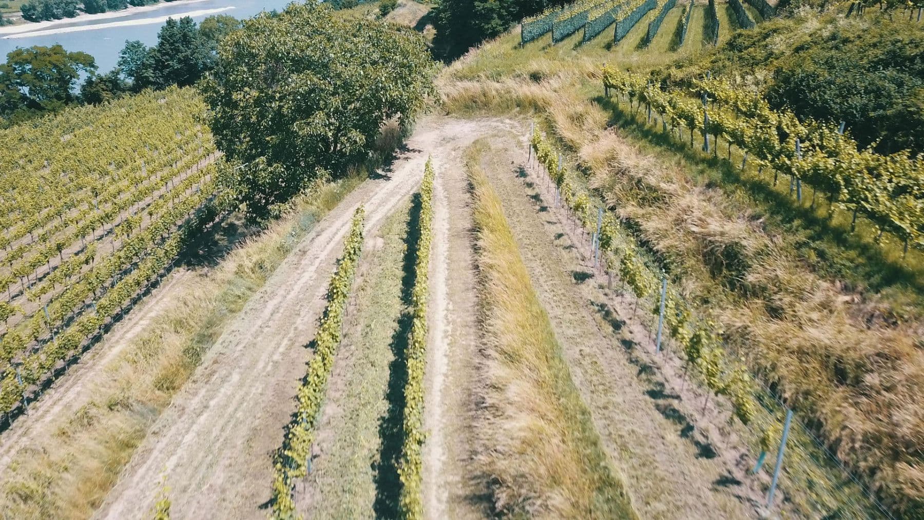 plot for sale, 3,596 m², Mitterarnsdorf, Lower Austria plot for sale, 3,596 m², Mitterarnsdorf, Lower Austria