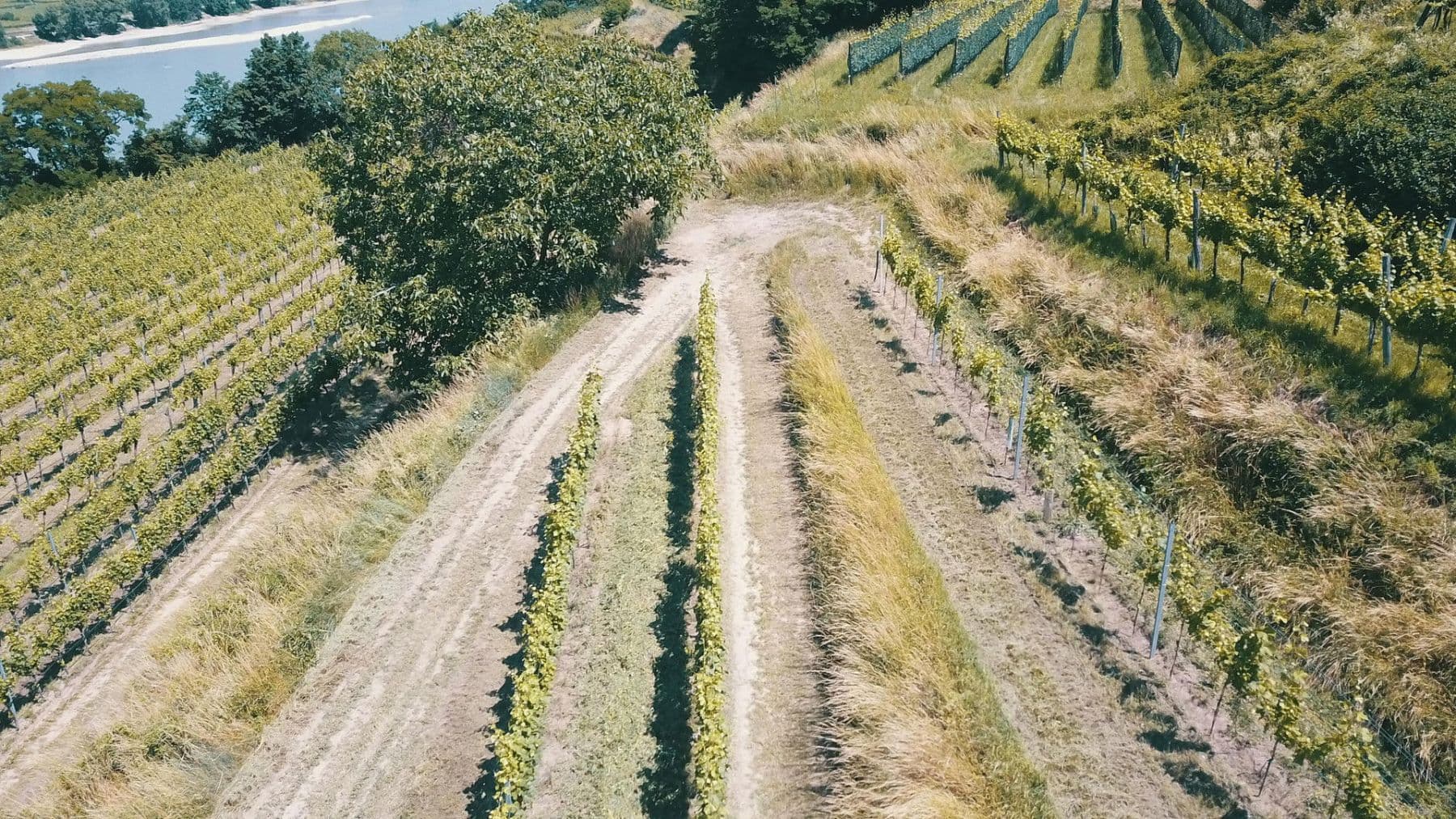 plot for sale, 3,596 m², Mitterarnsdorf, Lower Austria plot for sale, 3,596 m², Mitterarnsdorf, Lower Austria