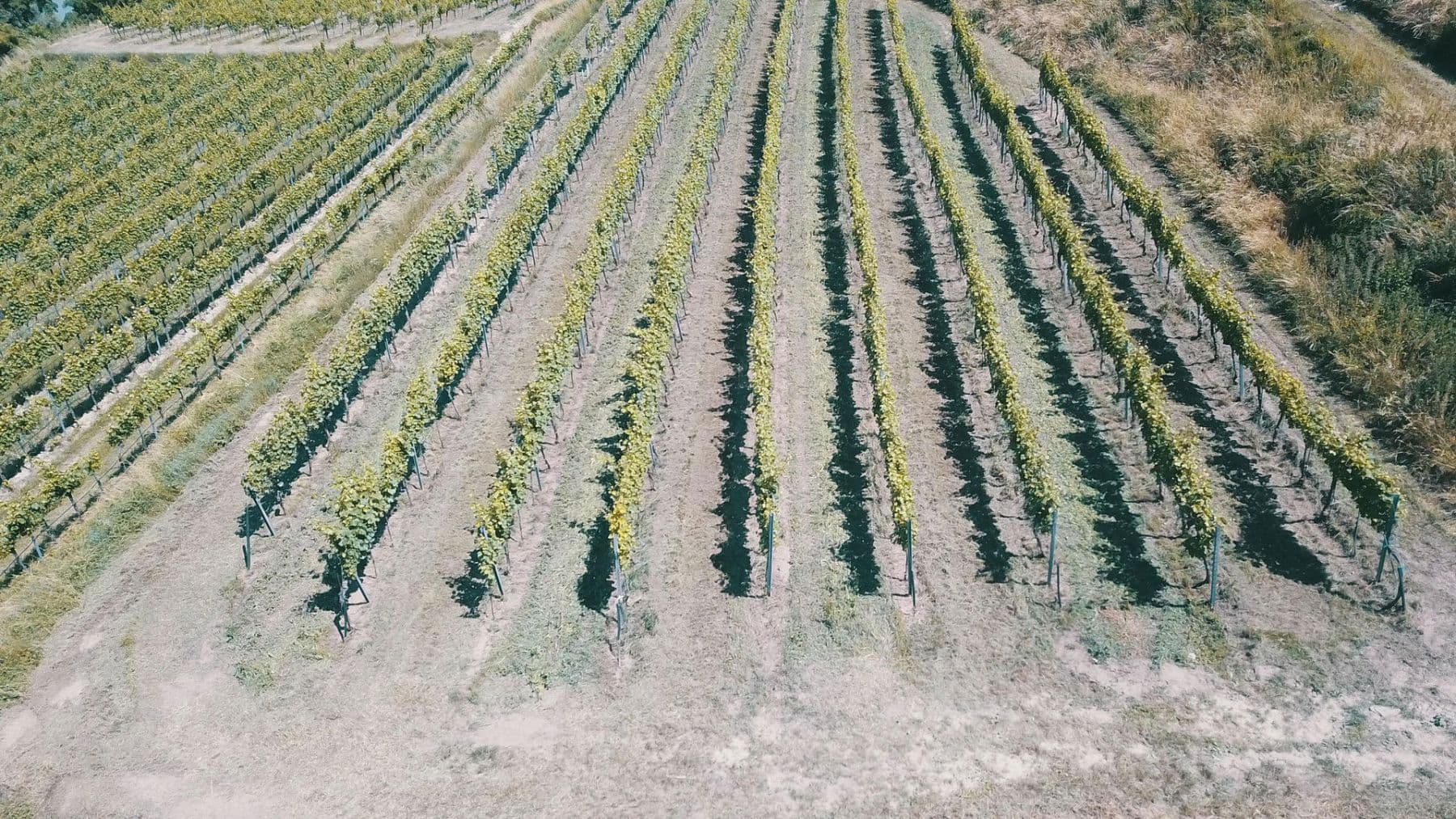 plot for sale, 3,596 m², Mitterarnsdorf, Lower Austria plot for sale, 3,596 m², Mitterarnsdorf, Lower Austria