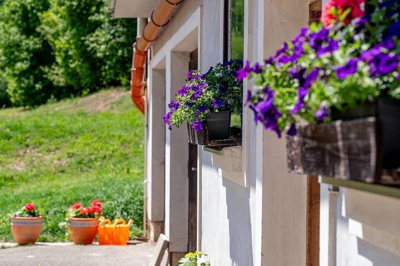 recreational property to rent, 0 m², Hrádek, Pardubický Region recreational property to rent, 0 m², Hrádek, Pardubický Region