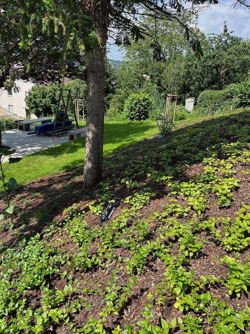 1 bedroom with open-plan kitchen flat to rent, 79 m², Esslingen am Neckar, Baden-Württemberg 1 bedroom with open-plan kitchen flat to rent, 79 m², Esslingen am Neckar, Baden-Württemberg