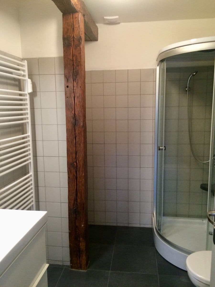 1 bedroom with open-plan kitchen flat to rent, 56 m², Staroměstské náměstí, Mladá Boleslav, Středočeský Region 1 bedroom with open-plan kitchen flat to rent, 56 m², Staroměstské náměstí, Mladá Boleslav, Středočeský Region