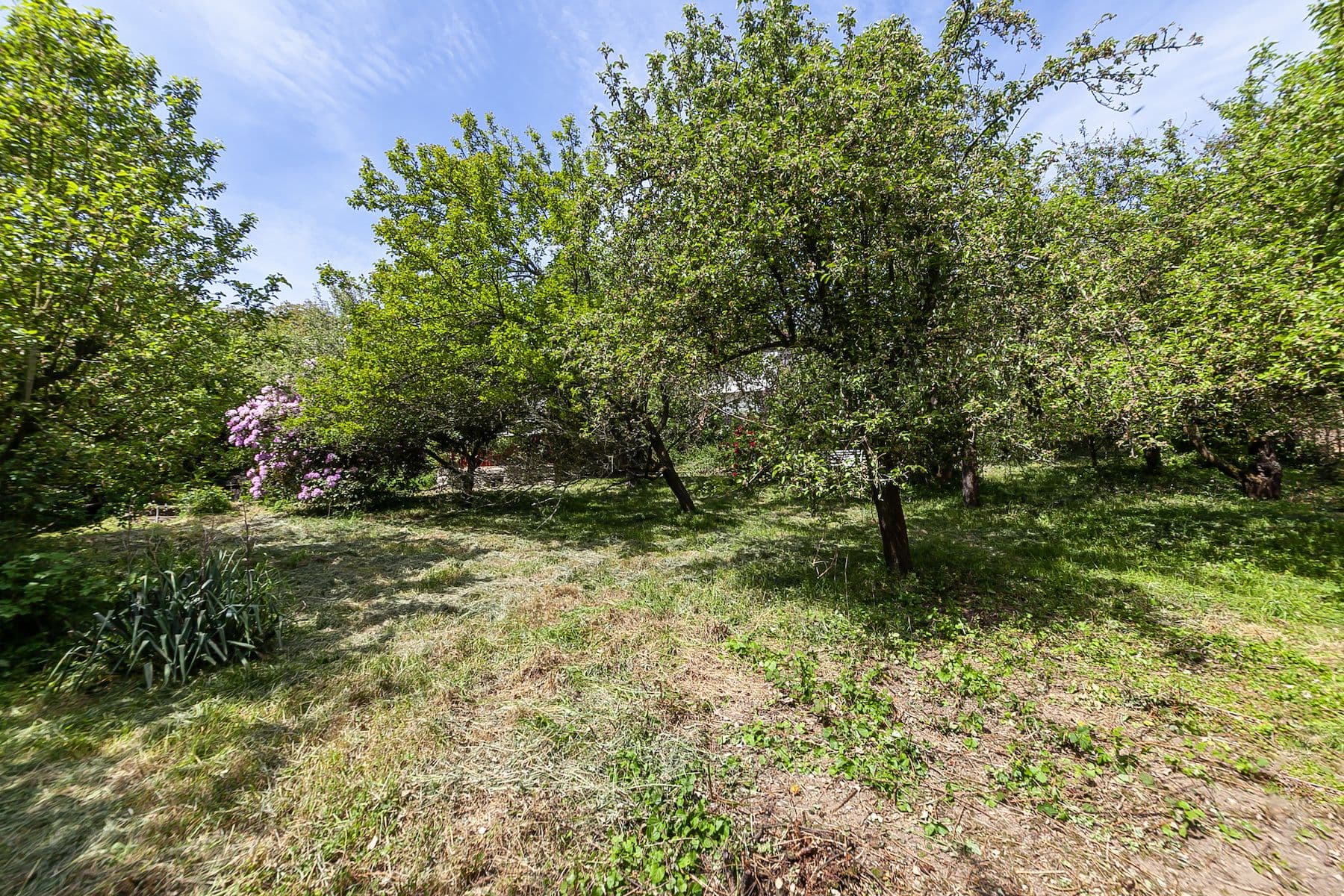 plot for sale, 1,552 m², Na Vinicích, Davle, Středočeský Region plot for sale, 1,552 m², Na Vinicích, Davle, Středočeský Region