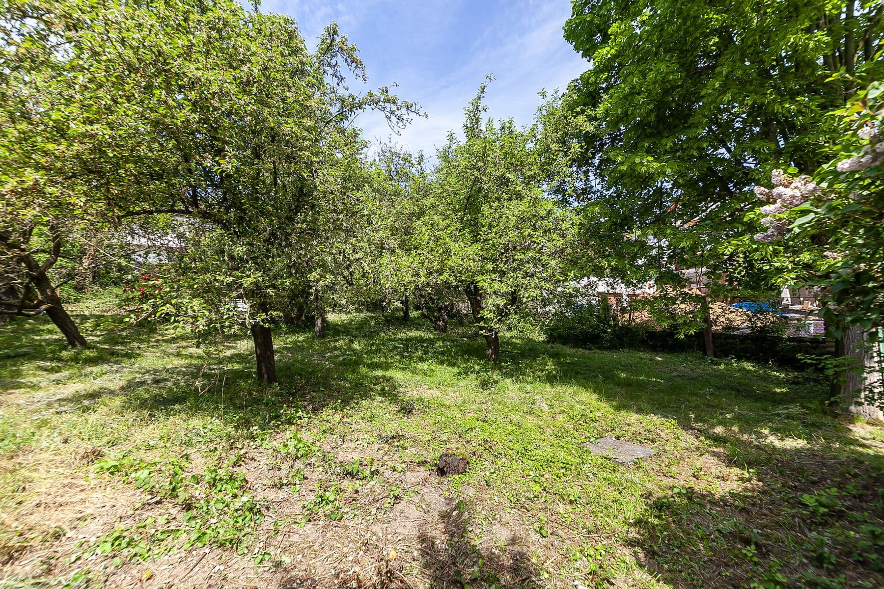 plot for sale, 1,552 m², Na Vinicích, Davle, Středočeský Region plot for sale, 1,552 m², Na Vinicích, Davle, Středočeský Region