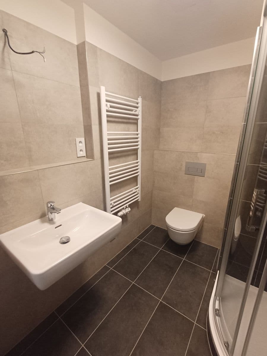 1 bedroom with open-plan kitchen flat to rent, 42 m², Fabiánové, Prague, Prague 1 bedroom with open-plan kitchen flat to rent, 42 m², Fabiánové, Prague, Prague