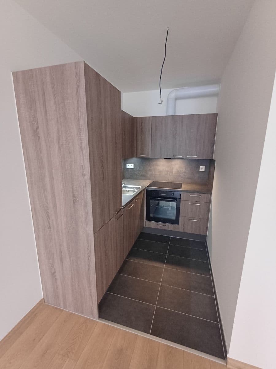 1 bedroom with open-plan kitchen flat to rent, 42 m², Fabiánové, Prague, Prague 1 bedroom with open-plan kitchen flat to rent, 42 m², Fabiánové, Prague, Prague