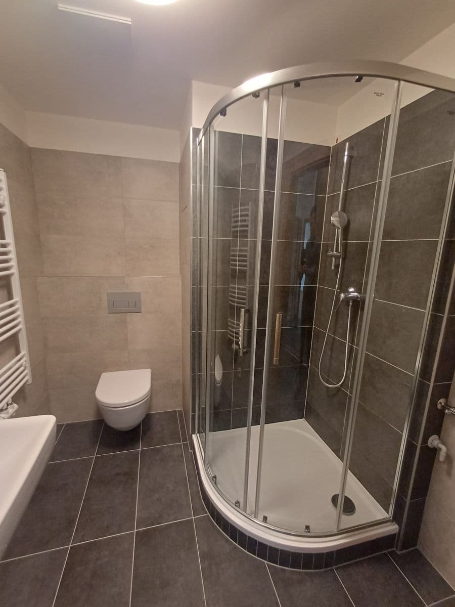 1 bedroom with open-plan kitchen flat to rent, 42 m², Fabiánové, Prague, Prague 1 bedroom with open-plan kitchen flat to rent, 42 m², Fabiánové, Prague, Prague