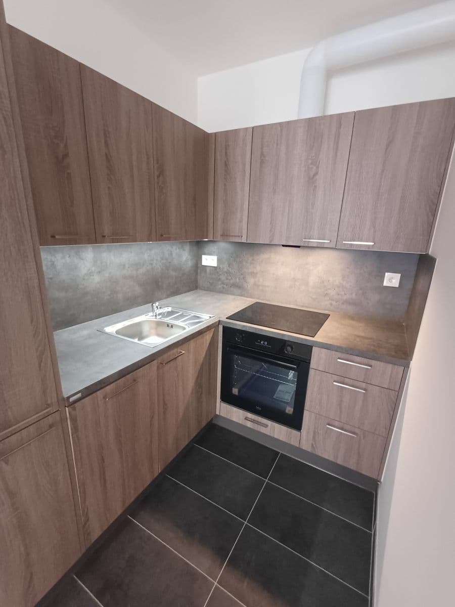 1 bedroom with open-plan kitchen flat to rent, 42 m², Fabiánové, Prague, Prague 1 bedroom with open-plan kitchen flat to rent, 42 m², Fabiánové, Prague, Prague