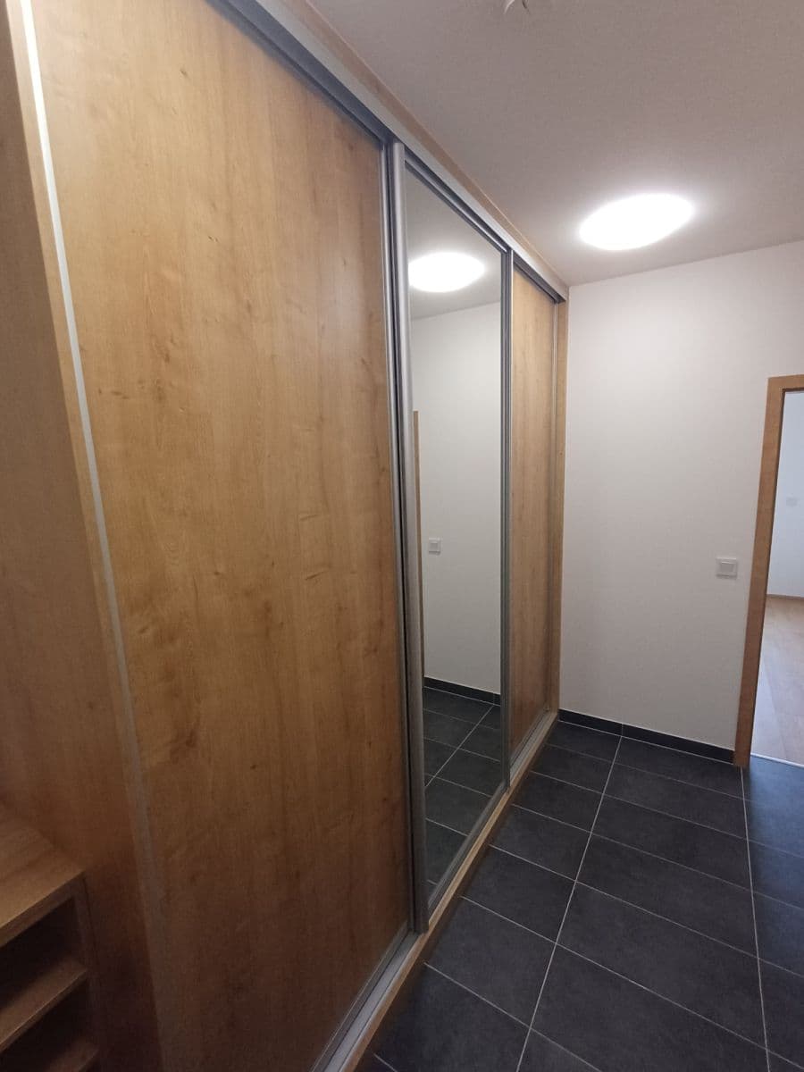 1 bedroom with open-plan kitchen flat to rent, 42 m², Fabiánové, Prague, Prague 1 bedroom with open-plan kitchen flat to rent, 42 m², Fabiánové, Prague, Prague