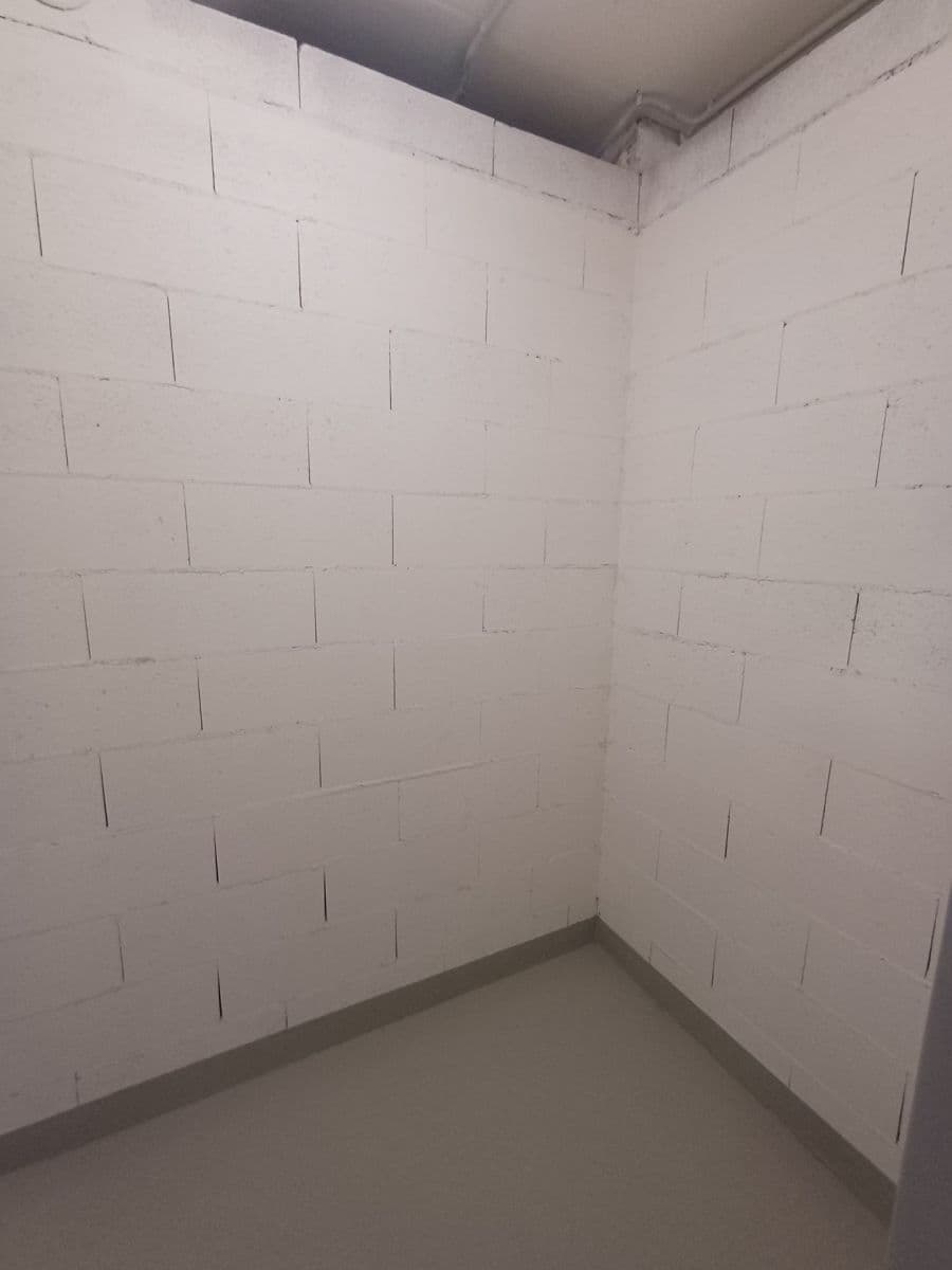 1 bedroom with open-plan kitchen flat to rent, 42 m², Fabiánové, Prague, Prague 1 bedroom with open-plan kitchen flat to rent, 42 m², Fabiánové, Prague, Prague