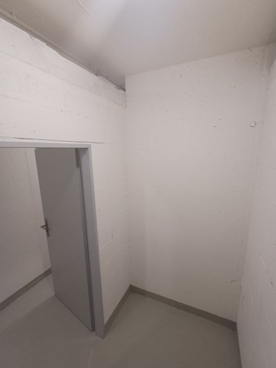 1 bedroom with open-plan kitchen flat to rent, 42 m², Fabiánové, Prague, Prague 1 bedroom with open-plan kitchen flat to rent, 42 m², Fabiánové, Prague, Prague