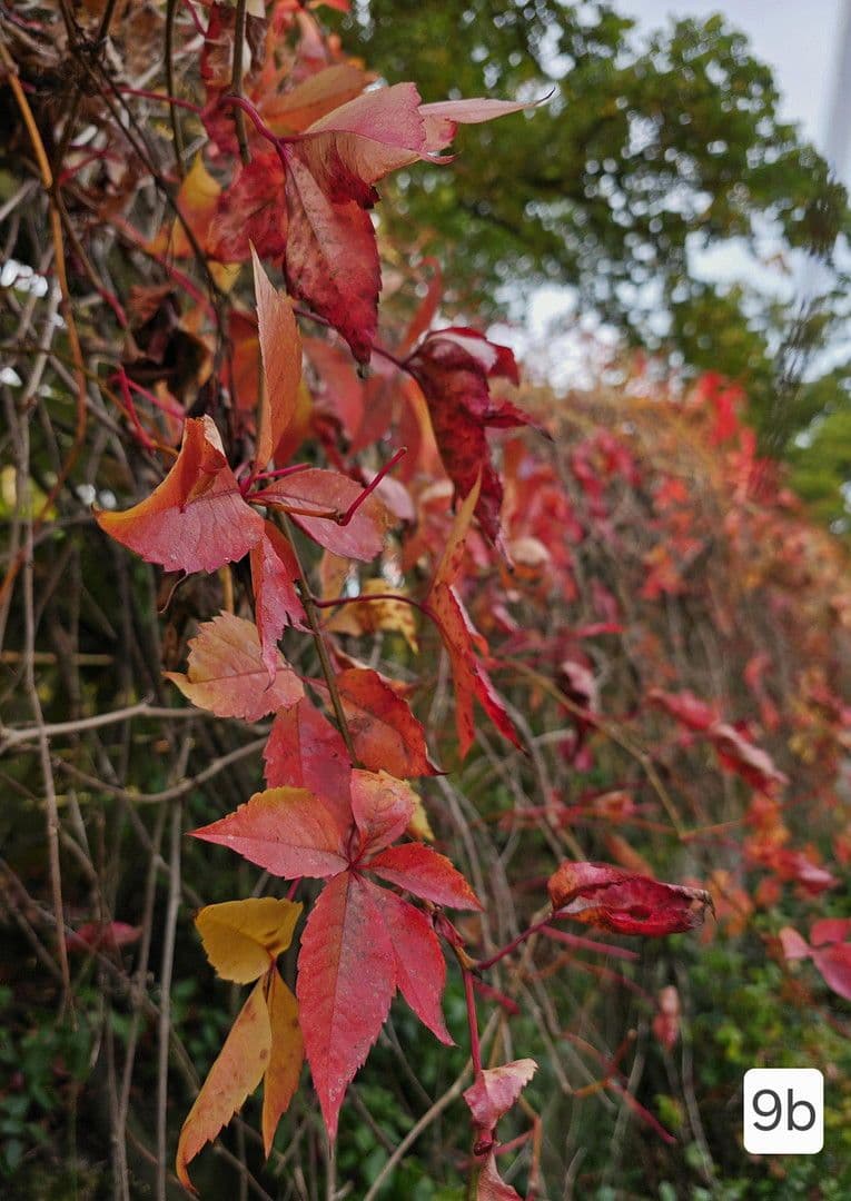 house for sale, 219 m², Uelzen, Lower Saxony house for sale, 219 m², Uelzen, Lower Saxony
