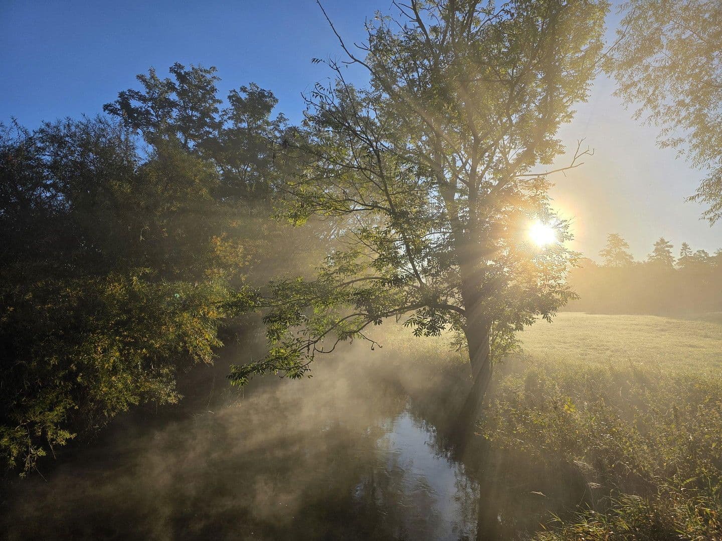 house for sale, 219 m², Uelzen, Lower Saxony house for sale, 219 m², Uelzen, Lower Saxony