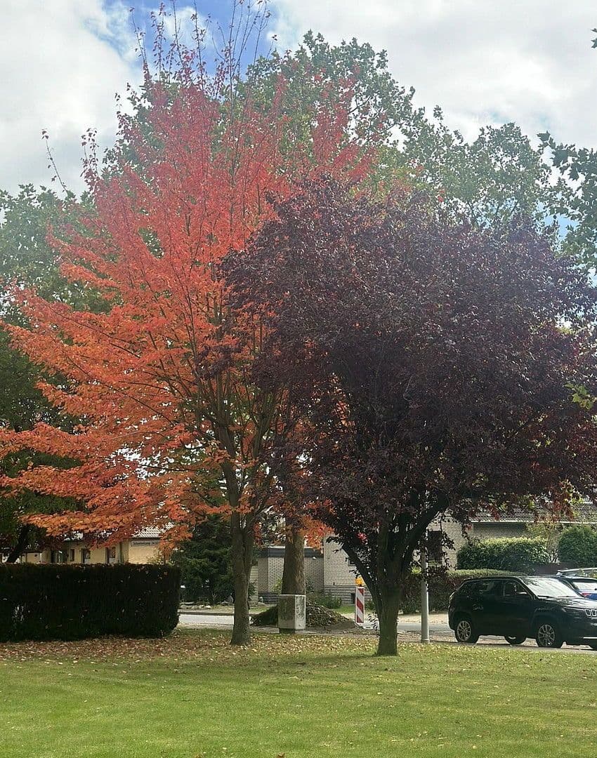 2 bedroom flat for sale, 66 m², Scheelenkamp, Garbsen, Lower Saxony 2 bedroom flat for sale, 66 m², Scheelenkamp, Garbsen, Lower Saxony