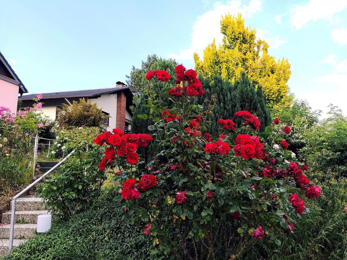 house for sale, 245 m², Niedernhausen, Hesse house for sale, 245 m², Niedernhausen, Hesse